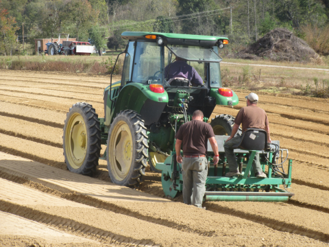 A Tractor Planting Acorns at KDF