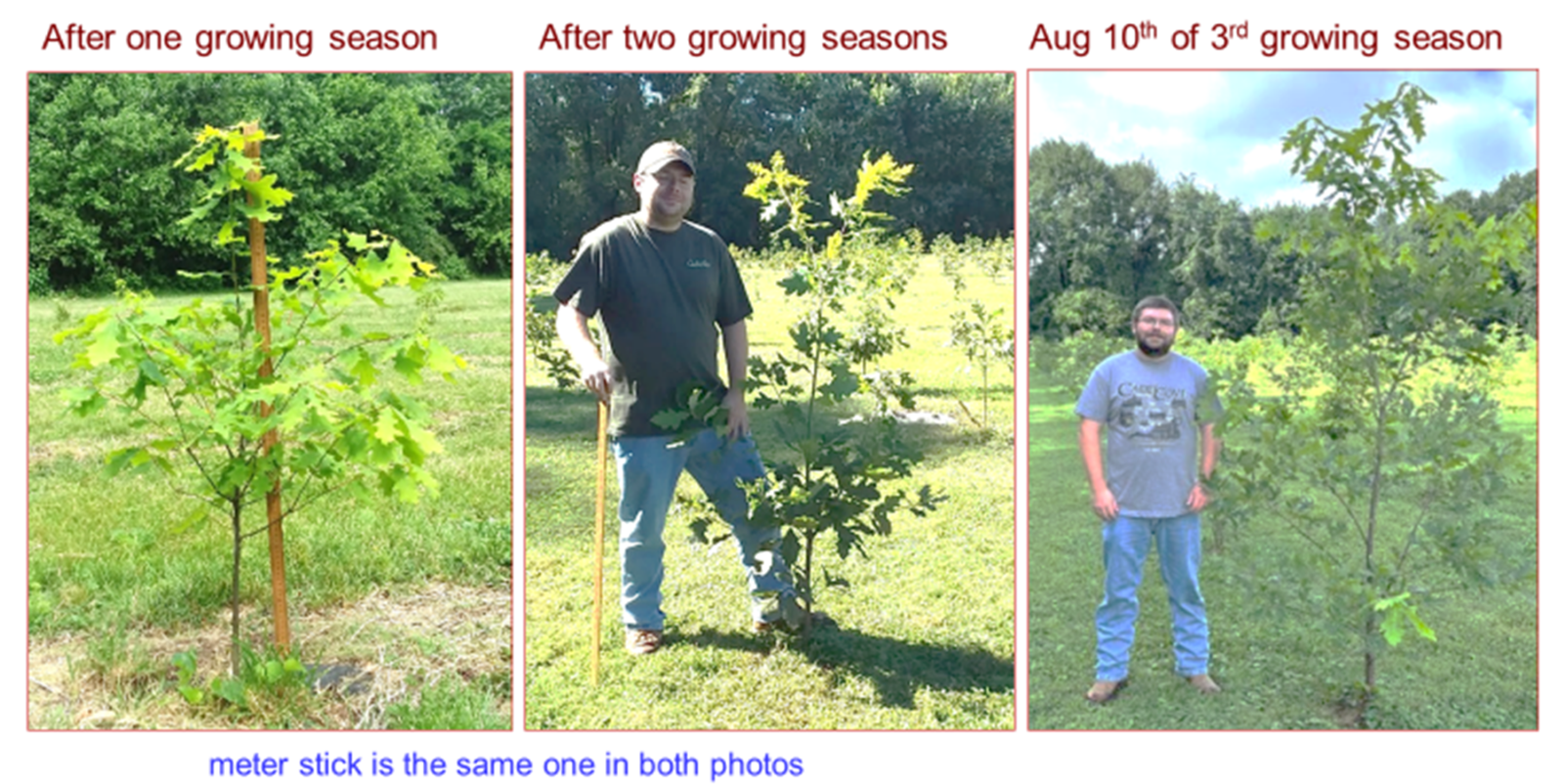 Growing seasons